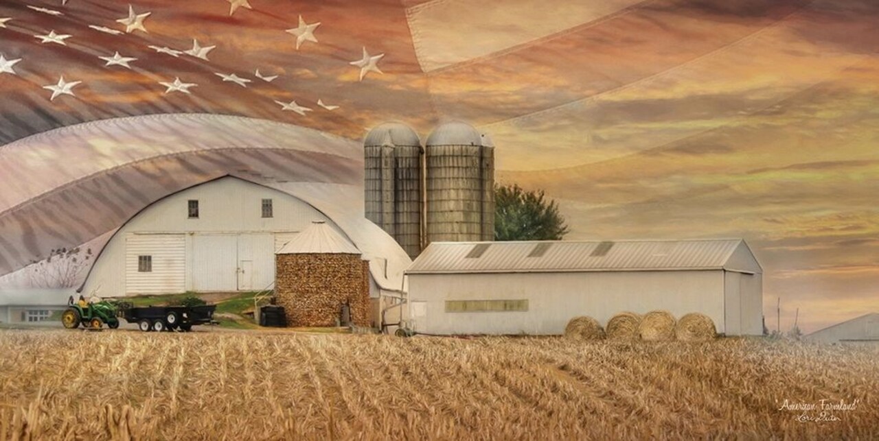 American Farmland Poster Print by Lori Deiter - Item # VARPDXLD1041